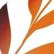 Nhóm bạn của cậu