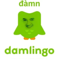 Bn t.g