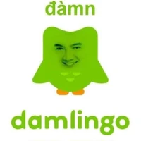 Bn t.g