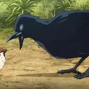Kasugaikarasu