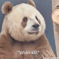 Nhân vật quần chúng 