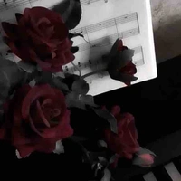 Bảng tin thông báo