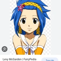 Levy