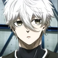 nagi seishiro