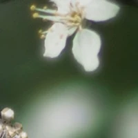 Alltop(trừ ai thì trừ)