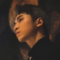 karik ( thik ngân)