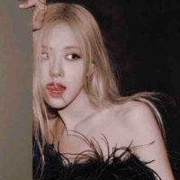 Park Chaeyoung 