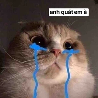 Tác Giả nèee