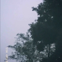 Đa nhân vật 