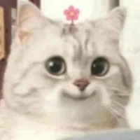 Mèo ú otaku love NTR