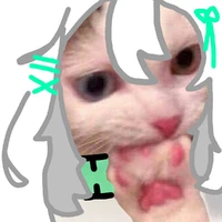 rui :/