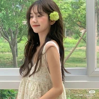Hồ Khánh Ly