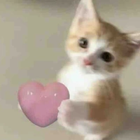 Ng đàng ôg tinh tế’s 