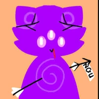 Kitty Madda