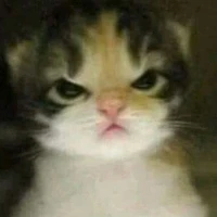Shiii
