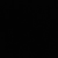 Tất cả mọi người 