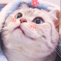 Hệ Thống MLB4112011NC(Rei)