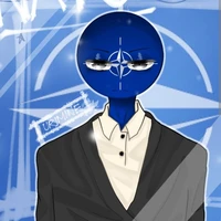 North Atlantic Treaty Organization(NATO)