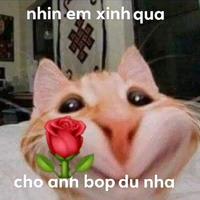 Nả ri yew cậu lắm ó!