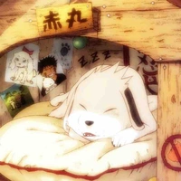 Akamaru