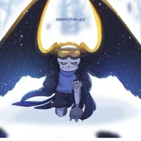 bird sans