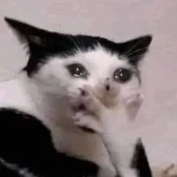 All