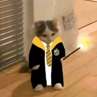 Ai đó nhà Hufflepuff