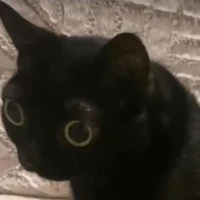 ？？？