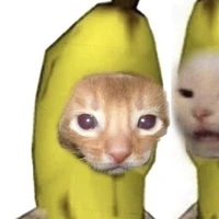 lịch sử , ngữ văn lên 😇