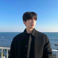 kim gemini ⋆ genotmini