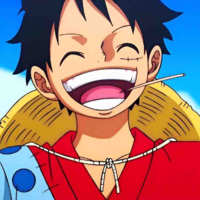  Monkey D .Luffy 