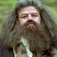 Rubeus Hagrid