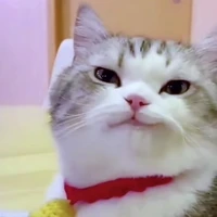 Tác Giả