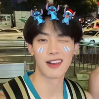 Vỹ Kì