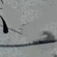 ??