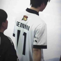 @gemini_nt