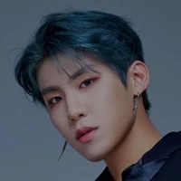 Park Woojin