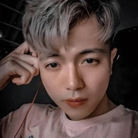 hoài Việt...mr.vịt