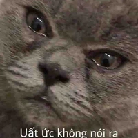 Con quễ