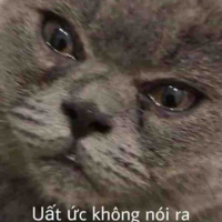 Con quễ