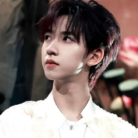 hạ tuấn lâm