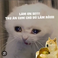 con tg đau khổ