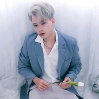 Hoài Việt (Vịt)