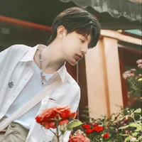 Trương Trạch Vũ