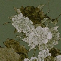 Cư Dân Mạng