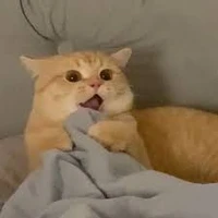 Nvp/ quái vật