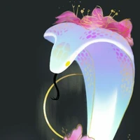 bạch xà hoa(hoa bạch tử-白茶の花)