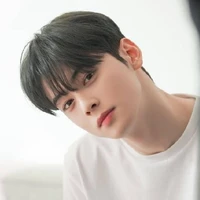 Cha Eun Woo - thư ký hắn