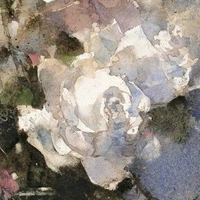 (Itoshi) Misaki