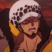Law